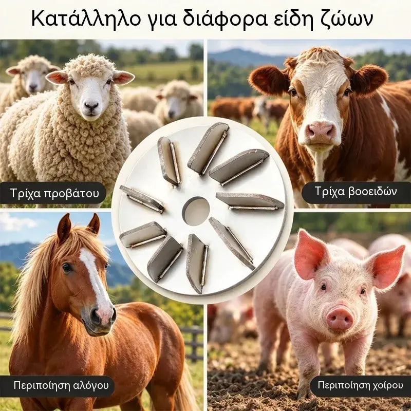 🔧🪚 Δίσκος Αποτρίχωσης από Ανοξείδωτο Ατσάλι για Γωνιακό Τροχό | Δίσκος Αποτρίχωσης για τον Καθαρισμό και την Επεξεργασία Χοιρινού, Αρνίσιου και Μοσχαρίσιου Κρέατος