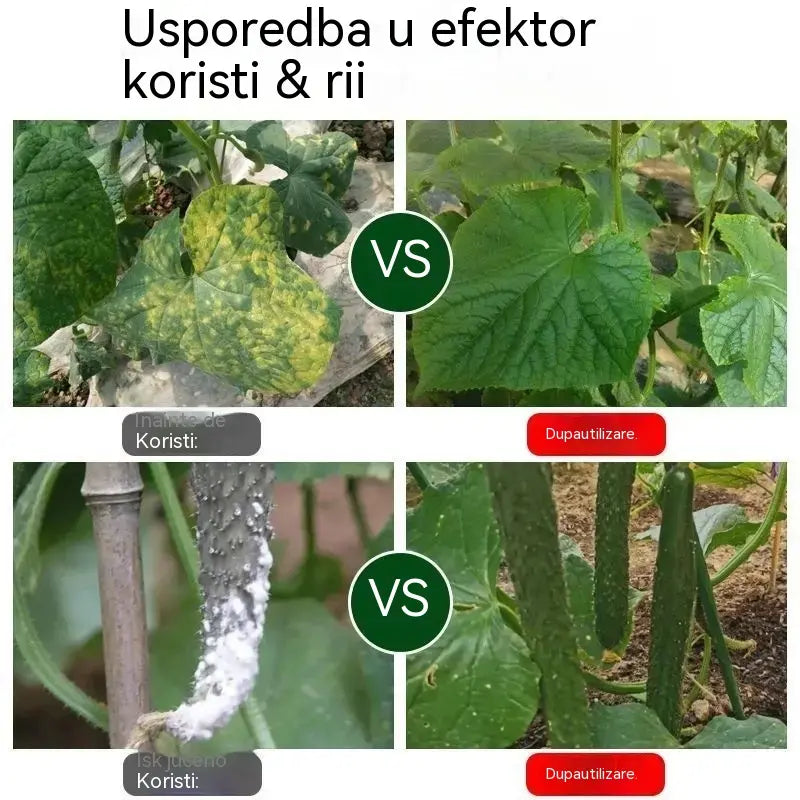 🥒🥒【3 boce】Sistemski fungicid za krastavce – Učinkovita kontrola bakterijskih bolesti, žutih pjega i lisnatih bolesti