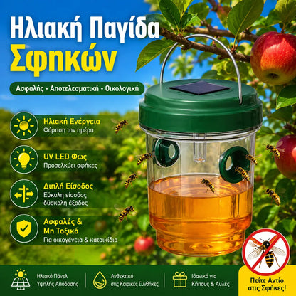 25 ευρώ ανά τεμάχιο🐝Ηλιακή κρεμαστή παγίδα για σφήκες