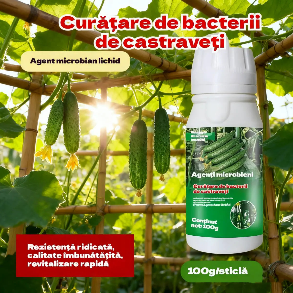 🥒🥒【3 botellas】Fungicida sistémico para pepinos – Control eficaz de bacteriosis, manchas amarillas y enfermedades foliares