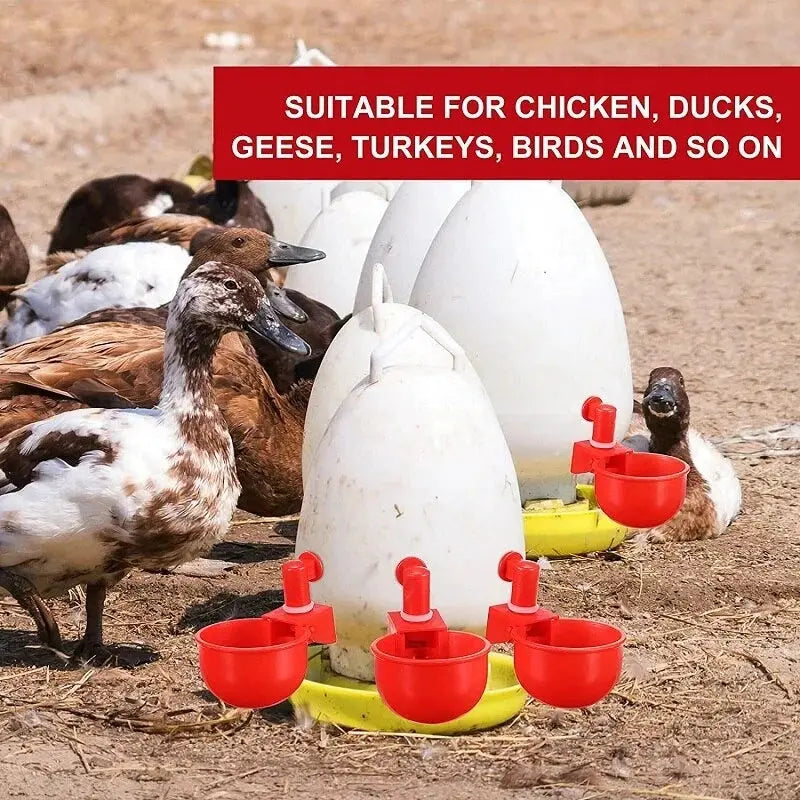 🦆🐔 【10 sztuk】Automatyczna miska do pojenia drobiu