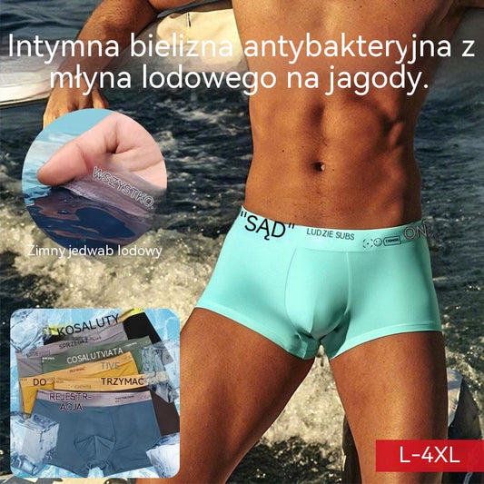 🔥【6 sztuk】🩲Antybakteryjna bawełniana bielizna męska z lodowego jedwabiu