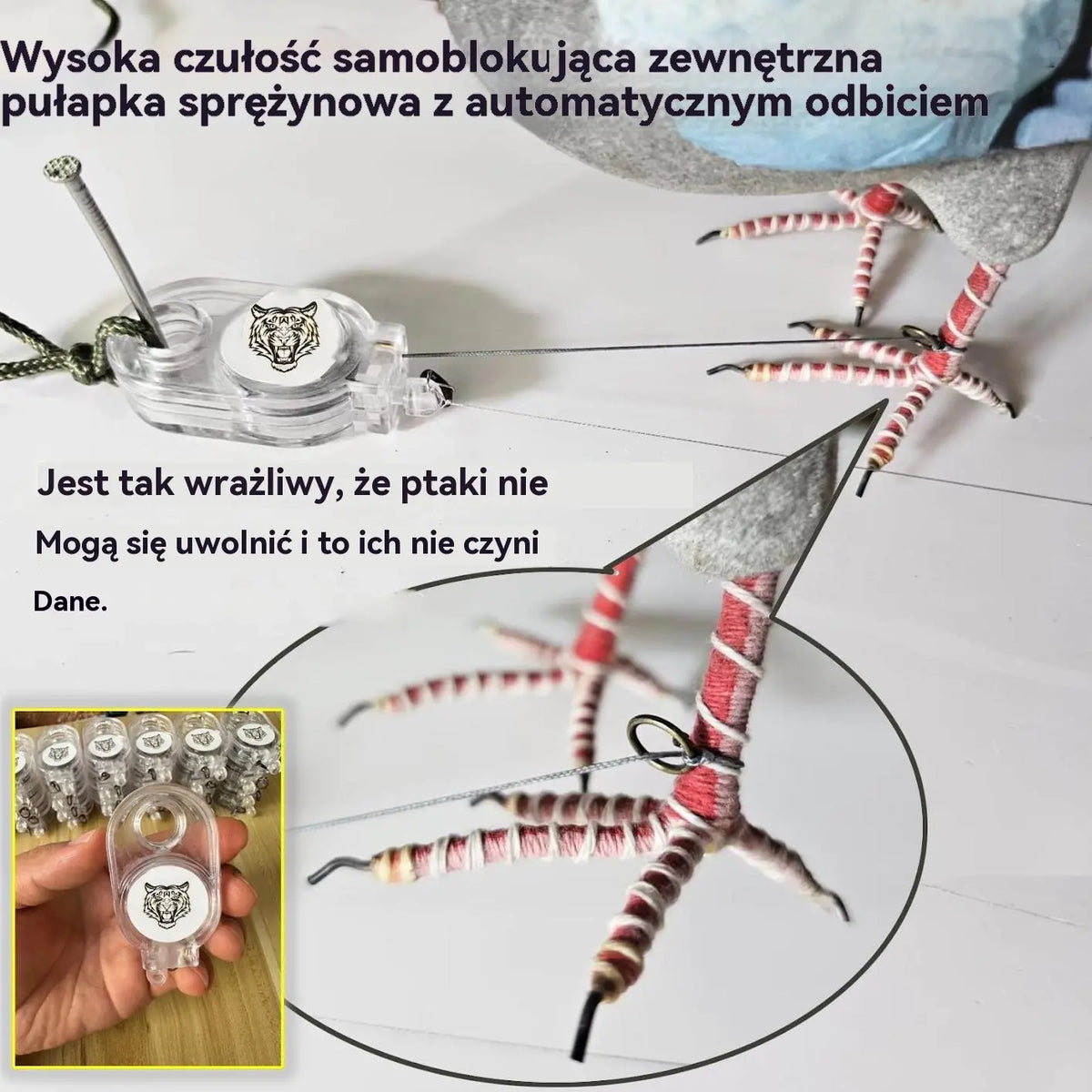 🐓Pułapka sprężynowa do użytku na zewnątrz, samoblokująca pułapka o wysokiej czułości