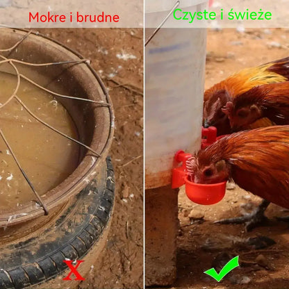 🔥🐔【Kup 5, otrzymaj 5 gratis】【10 szt.】Automatyczna miska do picia dla drobiu