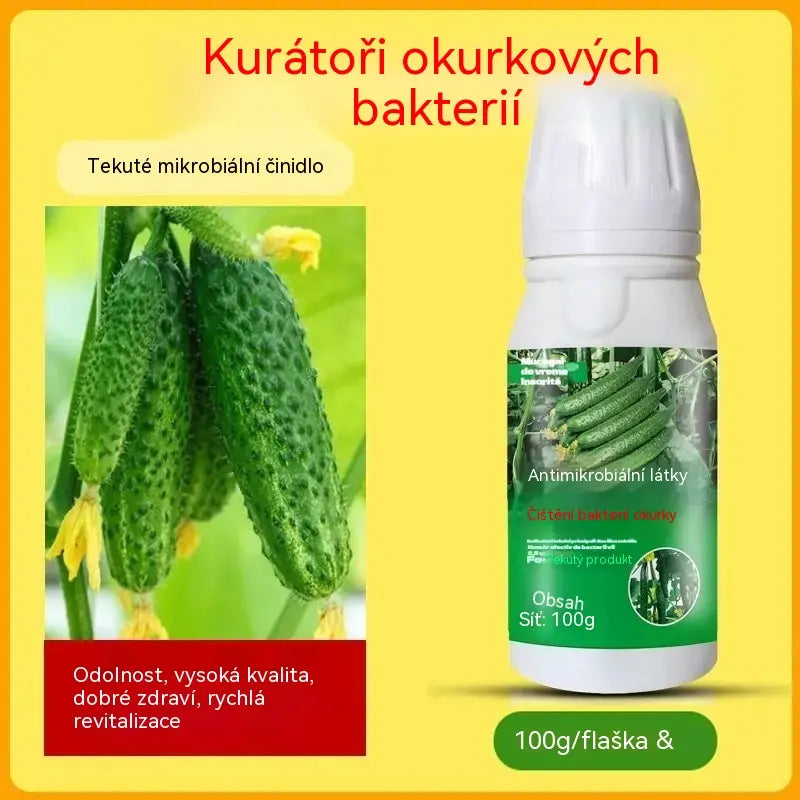 🥒🥒【3 lahvičky】Systémový fungicid na okurky - účinná kontrola bakteriální plísně, žluté skvrnitosti a listových chorob