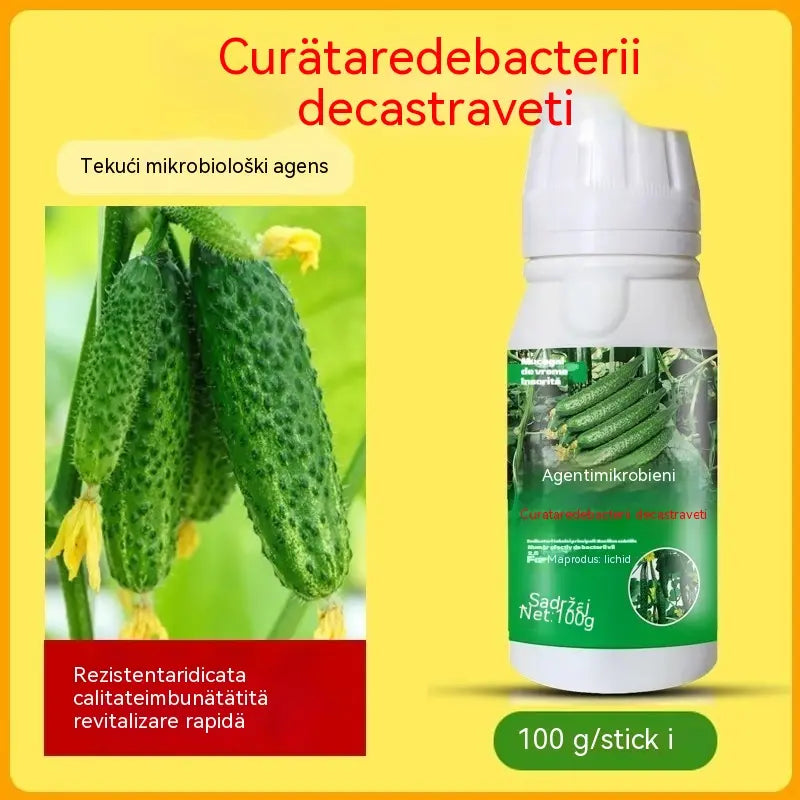 🥒🥒【3 boce】Sistemski fungicid za krastavce – Učinkovita kontrola bakterijskih bolesti, žutih pjega i lisnatih bolesti