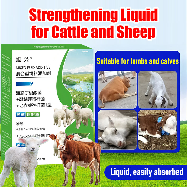 🐂【Kupi 1, dobi 1 gratis】💥【Samo 12 € po komadu】🐏 Specijalizirana zaštitna tekućina za janjad i telad – Zaštita probavnog sustava. (2 kutija)