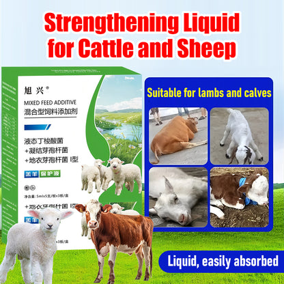 🐂【Kupi 1, dobi 1 gratis】💥【Samo 12 € po komadu】🐏 Specijalizirana zaštitna tekućina za janjad i telad – Zaštita probavnog sustava. (2 kutija)