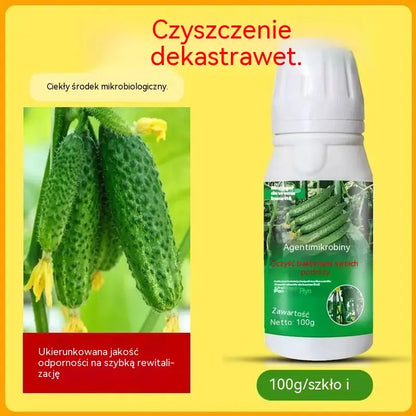 🥒🥒【3butelek】Systemiczny fungicyd do ogórków – skuteczna kontrola bakteriozy, żółtej plamistości i chorób liści