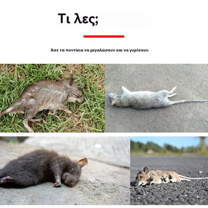 🔥【Αγοράστε 1 και πάρτε 1 δωρεάν】🐁Νέο κοκκώδες κόκκινο δηλητήριο για αρουραίους