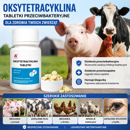 🕊️🐔🐷 Leki weterynaryjne Oksytetracyklina Tabletki przeciwbakteryjne, przeciwzapalne i przeciwbiegunkowe