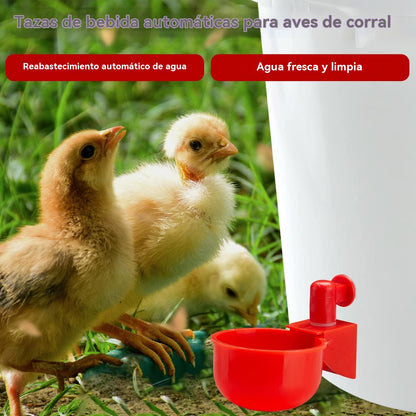 🐔【10 komada】Automatska posuda za vodu za perad, bez ručnog hranjenja
