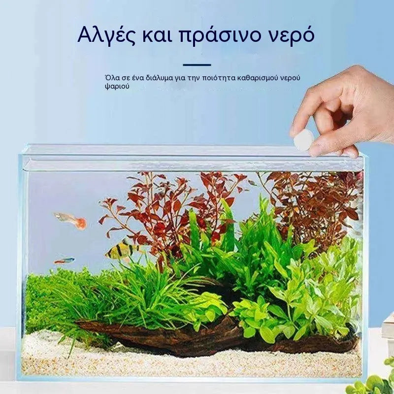 🐠🌿Απομακρυντής Πράσινου Νερού & Βρύων Ενυδρείου
