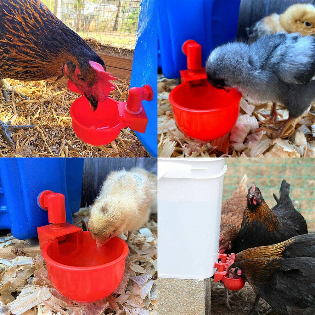 🐔【10 komada】Automatska posuda za vodu za perad, bez ručnog hranjenja