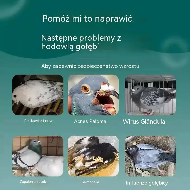 50% ZNIŻKI 🔥🕊️🕊️ 100 tabletek, specjalny lek dla gołębi pocztowych, kuracja 6 w 1 dla gołębi: szybkie gojenie, znaczące rezultaty!