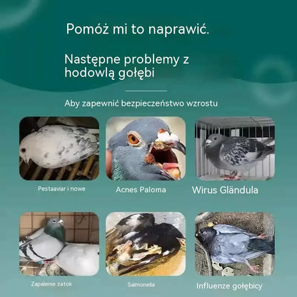 50% ZNIŻKI 🔥🕊️🕊️ 100 tabletek, specjalny lek dla gołębi pocztowych, kuracja 6 w 1 dla gołębi: szybkie gojenie, znaczące rezultaty!