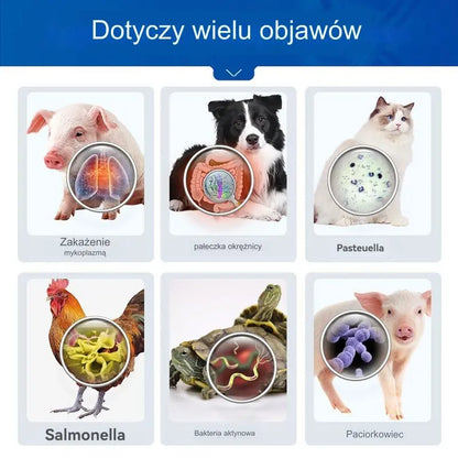 🕊️🐔🐷 Leki weterynaryjne Oksytetracyklina Tabletki przeciwbakteryjne, przeciwzapalne i przeciwbiegunkowe