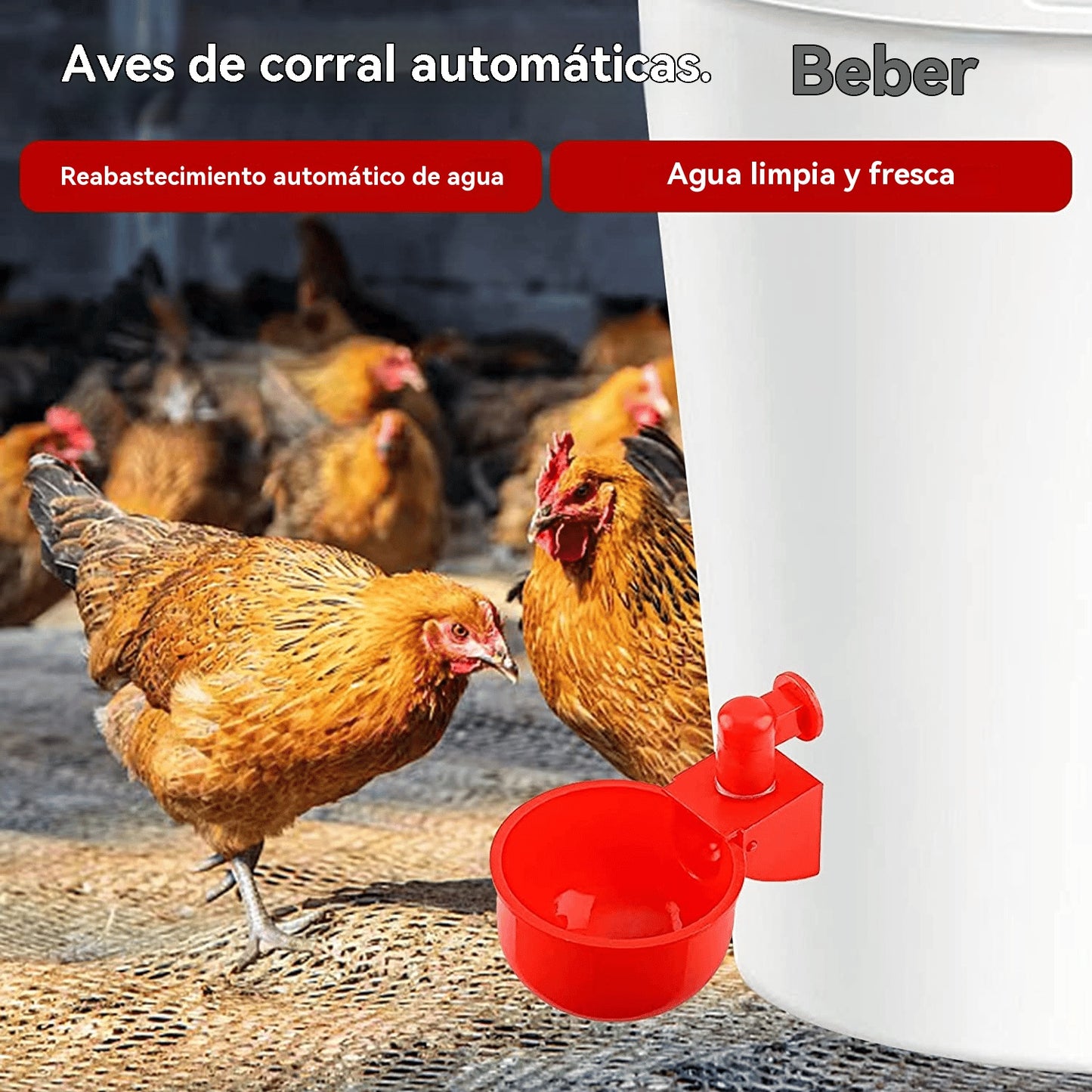 🐔【10 komada】Automatska posuda za vodu za perad, bez ručnog hranjenja