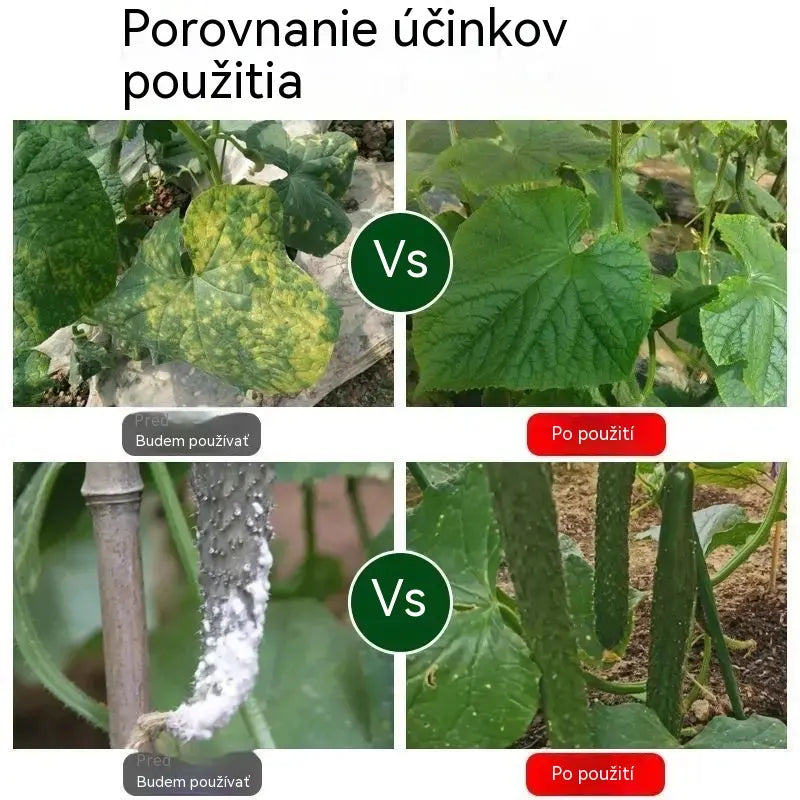 🥒🥒【3 fľaše】Systémový fungicíd na uhorky – Účinná kontrola bakteriálnych chorôb, žltých škvŕn a listových chorôb