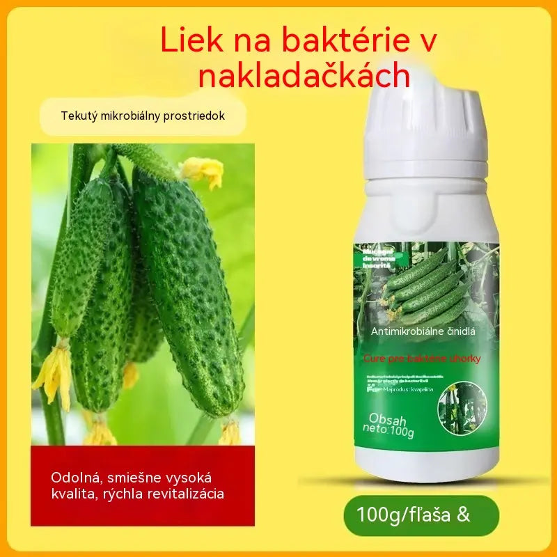 🥒🥒【3 fľaše】Systémový fungicíd na uhorky – Účinná kontrola bakteriálnych chorôb, žltých škvŕn a listových chorôb