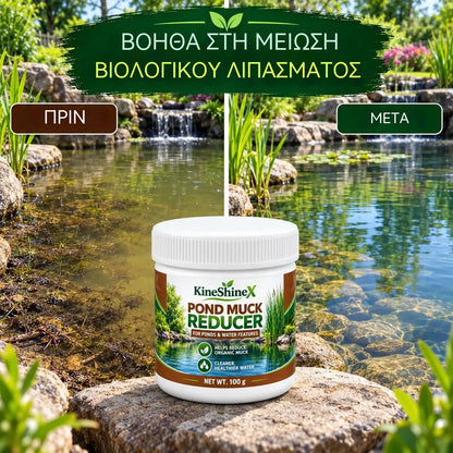 ✨🐟Σκόνη Διαύγασης Νερού για Λιμνούλες και Πισίνες