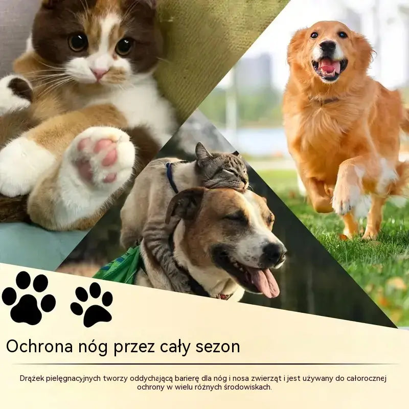 💧3 butelki po 99 zł🐾 Nawilżający balsam do łap – 🐶 Rozpieszczaj miękkie i zdrowe łapy swojego pupila