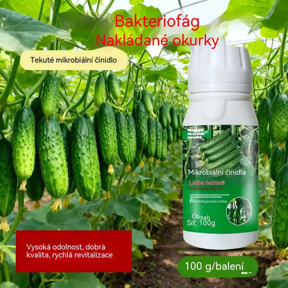 🥒🥒【3 lahvičky】Systémový fungicid na okurky - účinná kontrola bakteriální plísně, žluté skvrnitosti a listových chorob