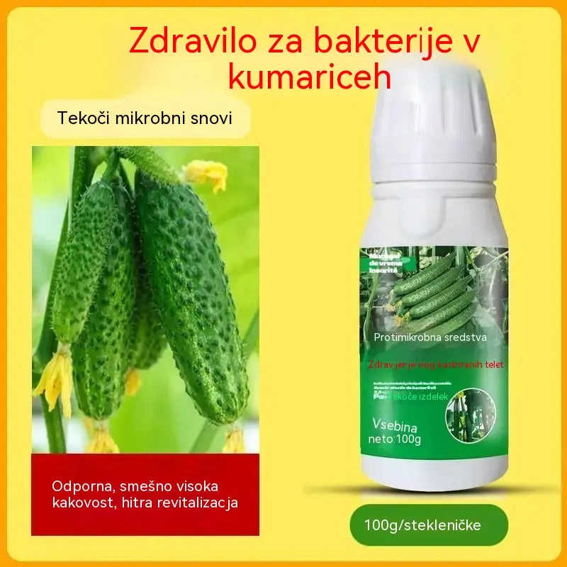 🥒🥒【3 steklenice】Sistemični fungicid za kumare – Učinkovit nadzor nad bakterijskimi boleznimi, rumenimi pegami in listnimi boleznimi