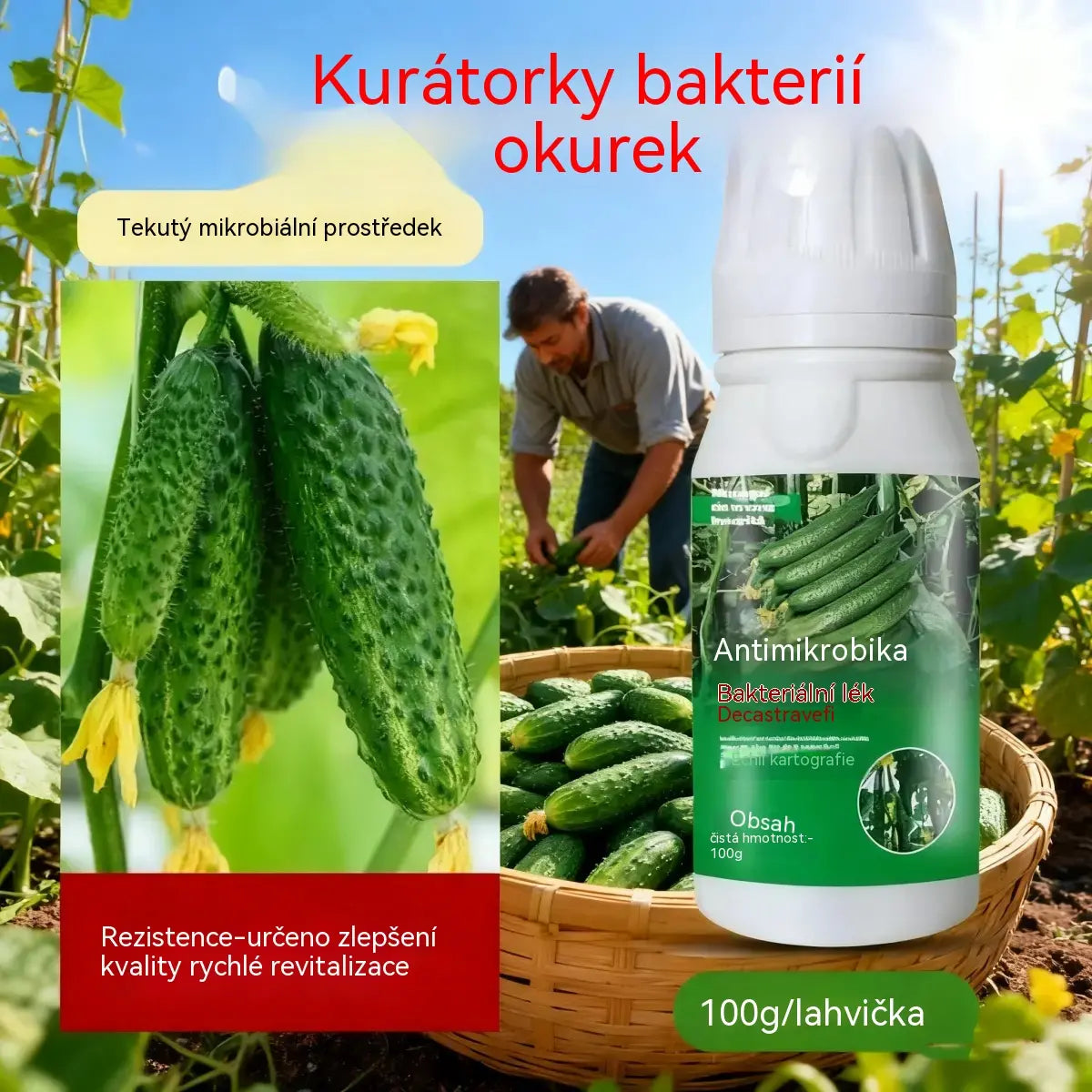 🥒🥒【3 lahvičky】Systémový fungicid na okurky - účinná kontrola bakteriální plísně, žluté skvrnitosti a listových chorob