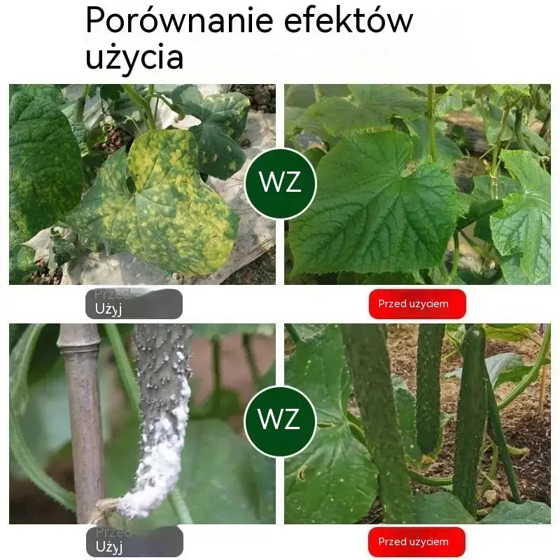 🥒🥒【3butelek】Systemiczny fungicyd do ogórków – skuteczna kontrola bakteriozy, żółtej plamistości i chorób liści