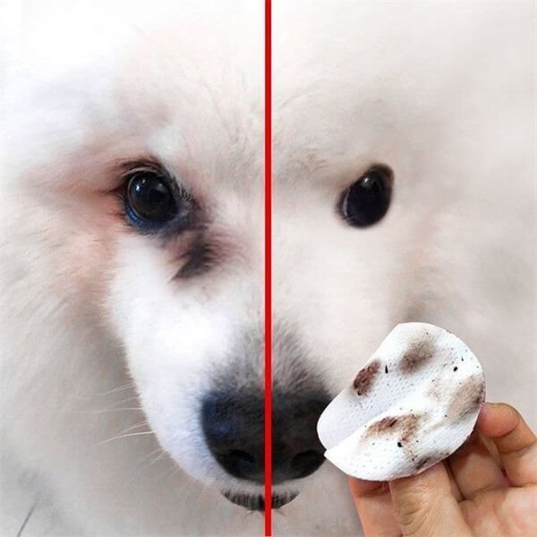 🐕【Kupi 1, dobi 1 gratis】🐈🔥 Maramice za čišćenje mrlja ispod očiju kućnih ljubimaca – Uklanjaju mrlje od suza, nježne, efikasne i sigurne za svakodnevnu upotrebu 🔥(2 stavke)