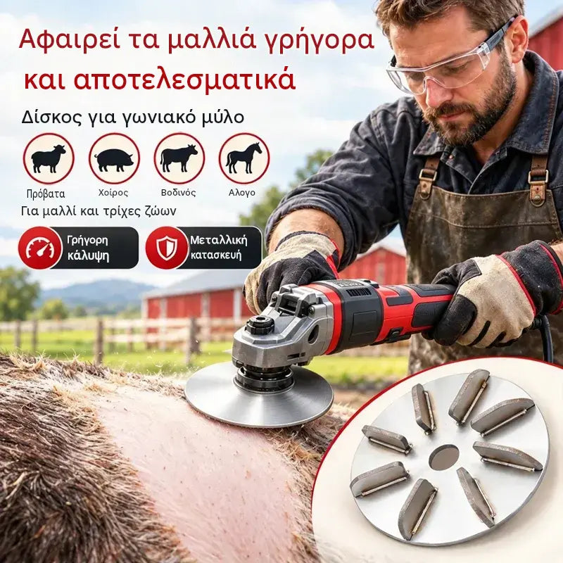 24 ευρώ το τεμάχιο🔧🪚 Δίσκος Αποτρίχωσης από Ανοξείδωτο Ατσάλι για Γωνιακό Τροχό | Δίσκος Αποτρίχωσης για τον Καθαρισμό και την Επεξεργασία Χοιρινού, Αρνίσιου και Μοσχαρίσιου Κρέατος