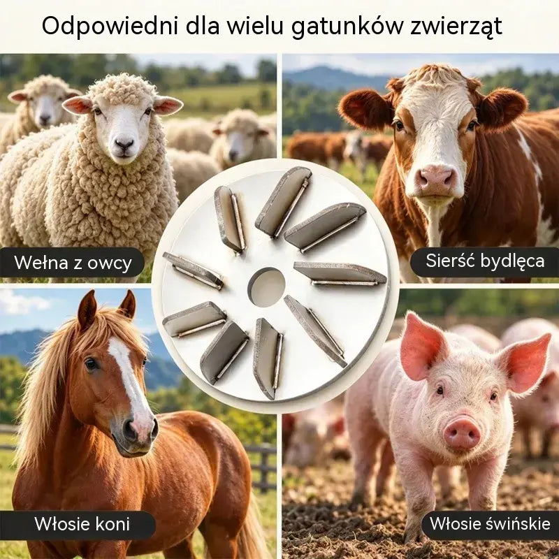 🔧🪚 Tarcza ze stali nierdzewnej do usuwania szczeciny (do szlifierki kątowej) | Tarcza do oczyszczania i obróbki tusz wieprzowych, jagnięcych i cielęcych