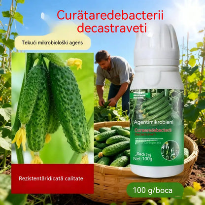 🥒🥒【3 boce】Sistemski fungicid za krastavce – Učinkovita kontrola bakterijskih bolesti, žutih pjega i lisnatih bolesti