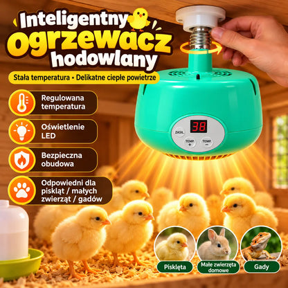 139zł ⏳Oferta ograniczona czasowo: 50% taniej! ⏰Grzałka do inkubatora z inteligentną regulacją temperatury💡