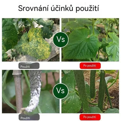 🥒🥒【3 lahvičky】Systémový fungicid na okurky - účinná kontrola bakteriální plísně, žluté skvrnitosti a listových chorob